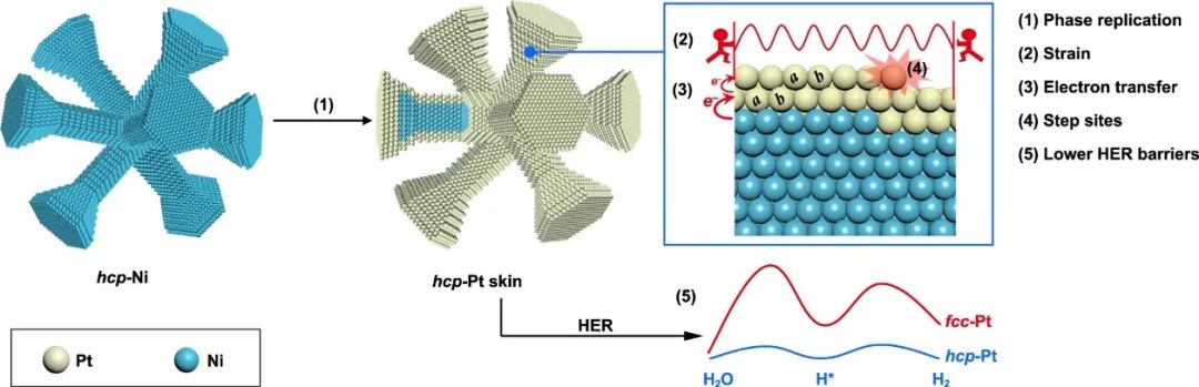 催化頂刊合集：Nature子刊、Angew、AFM、ACS Nano、ACB、Nano Lett等成果！