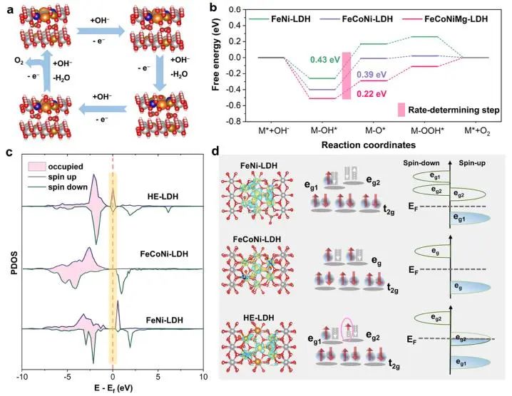 吳仁兵/潘洪革ACS Catalysis：摻雜惰性Mg，構建高熵層狀氫氧化物以提升析氧反應的活性/穩定性