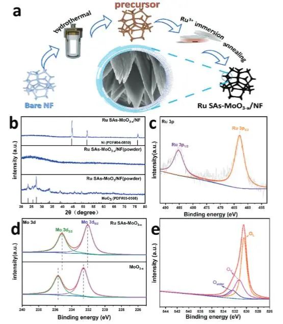 催化頂刊集錦：JACS、Angew.、AFM、ACS Catal.、Adv. Sci.、Small等成果