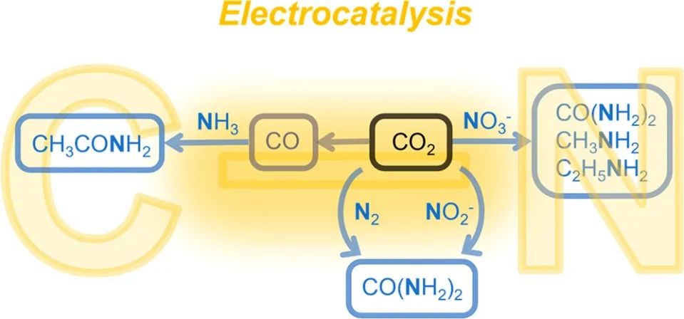 耶魯王海梁JACS：電催化CO2還原中通過C-N偶聯獲得有機氮化合物
