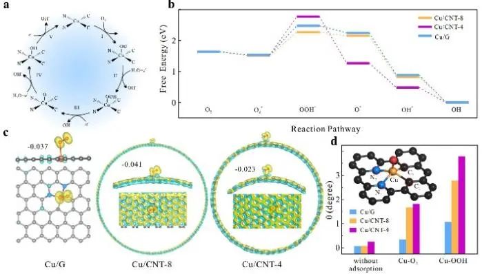 8篇催化頂刊：Nat. Commun.、ACS Nano、Nano Energy、Nano Lett.等成果