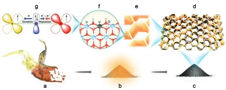 催化頂刊集錦：JACS、Angew.、AFM、ACS Catal.、Adv. Sci.、Small等成果