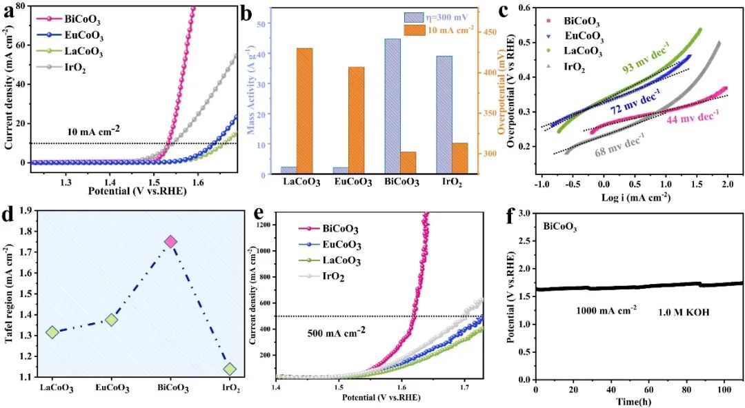 催化頂刊合集：JACS、Angew.、AFM、Small、Appl. Catal. B、JEC等成果
