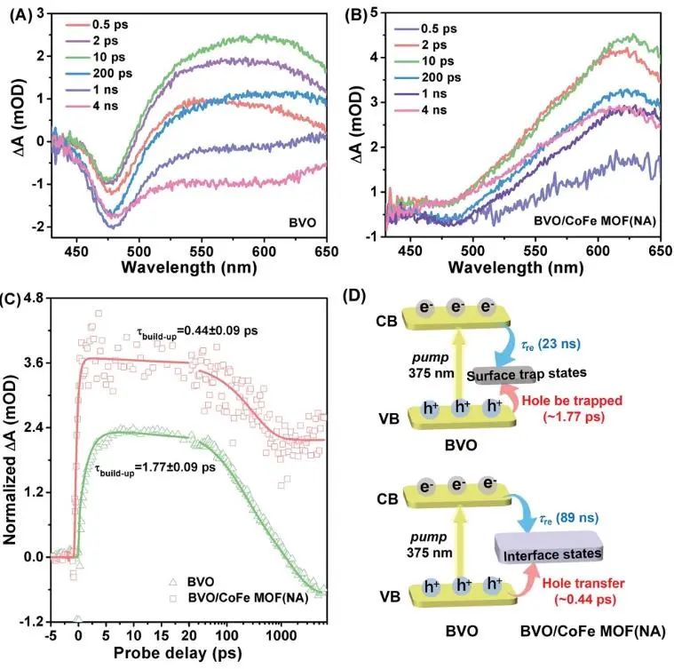 催化頂刊集錦：JACS、Nat. Commun.、AFM、ACS Catal.、Adv. Sci.、Small等