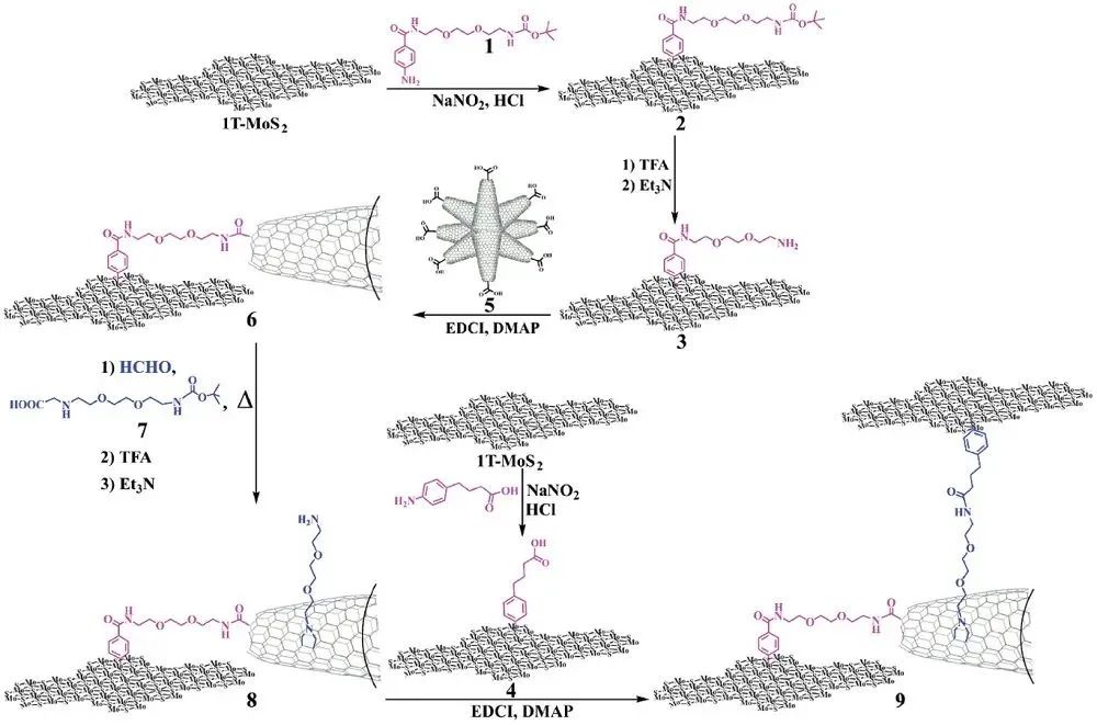AFM：3D-2D CNH-MoS2異質結構的可控化學功能化及其對質子還原的電催化活性