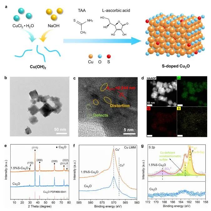 計算成果，8篇頂刊：Nature子刊、Angew、JACS、EES、AM、AFM等！