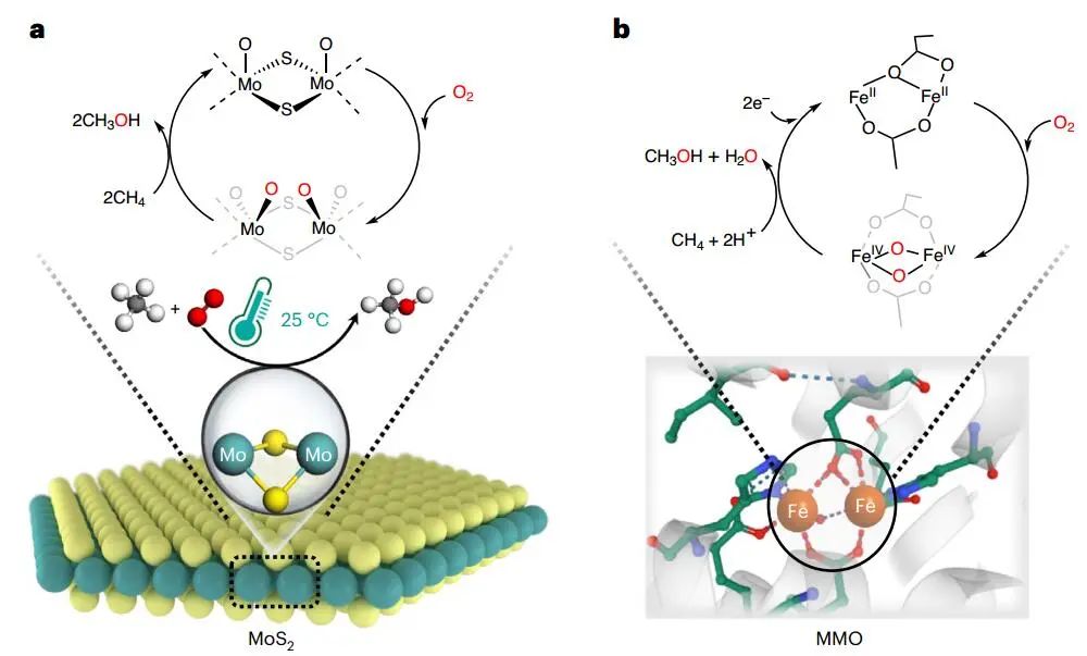 中科院大連化物所鄧德會/于良Nature Catalysis：甲烷與O2在室溫下直接轉化