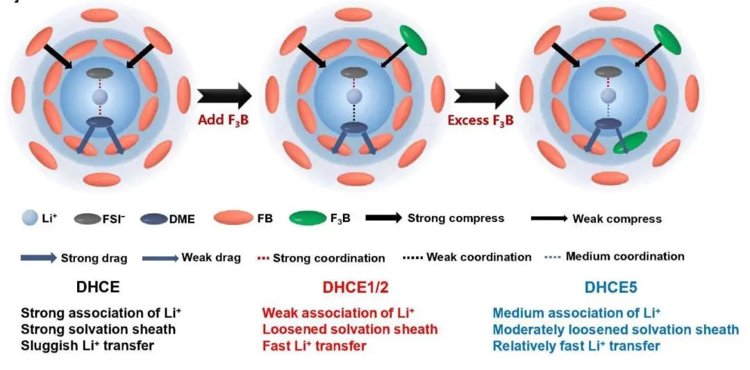 ?華科Chemical Science：拔河效應調整鋰離子輸運提高了鋰金屬電池的倍率能力