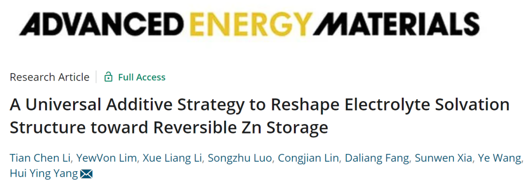 楊會穎AEM: 用于可逆儲鋅的重塑電解質溶劑化結構的通用添加劑策略