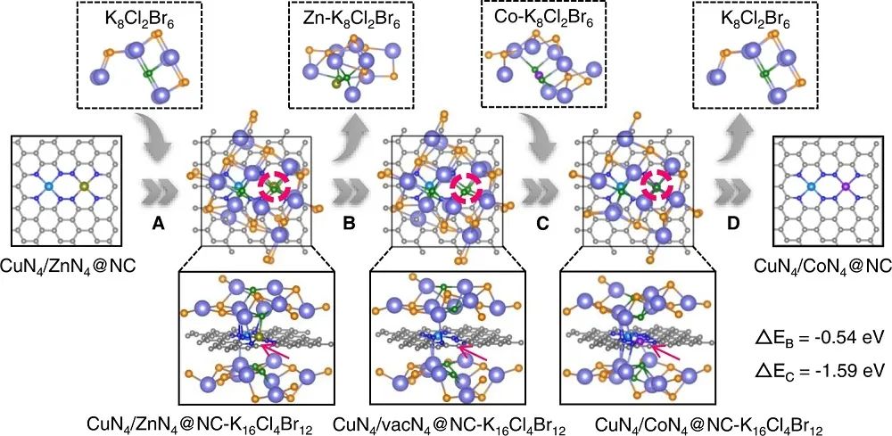 李映偉&房瑞琪，最新Nature子刊！