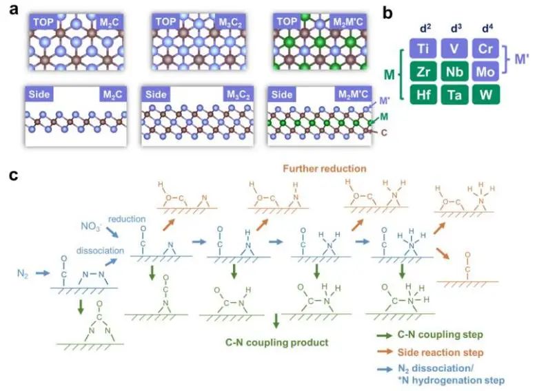 喬世璋/焦研JACS：理論計算+機器學習，揭示Mxene上C-N電偶聯反應的活性和選擇性路線