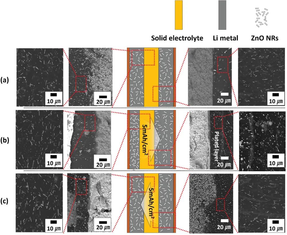 電池頂刊集錦：EES、EER、AEM、EEM、ACS Nano、Small等最新成果