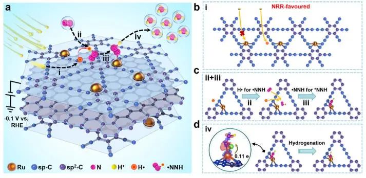 JACS：氫自由基作用大，與N2結合實現低電位電催化NH3合成