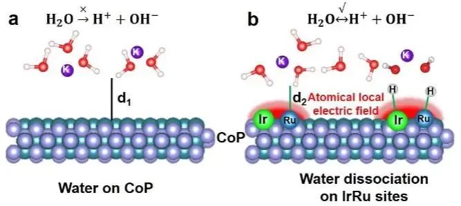 催化頂刊集錦：Nature子刊.、Angew.、JACS、ACS Catalysis、AFM、Small等成果