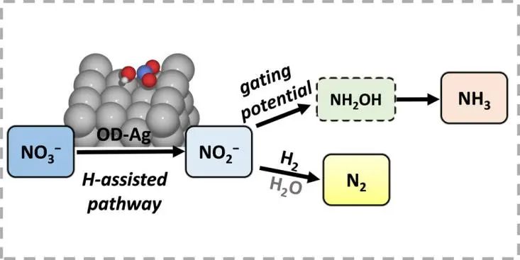 ACS Catalysis：對(duì)亞硝酸鹽和氨的選擇性可調(diào)的氧化物衍生銀用于電催化硝酸鹽還原