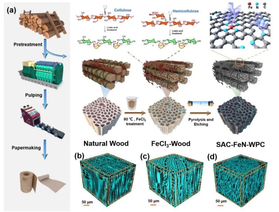 8篇催化頂刊集錦：JACS、AM、ACS Energy Lett.、Nano Lett.等最新成果