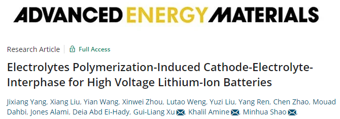 電池頂刊集錦：EES、EER、AEM、EEM、ACS Nano、Small等最新成果