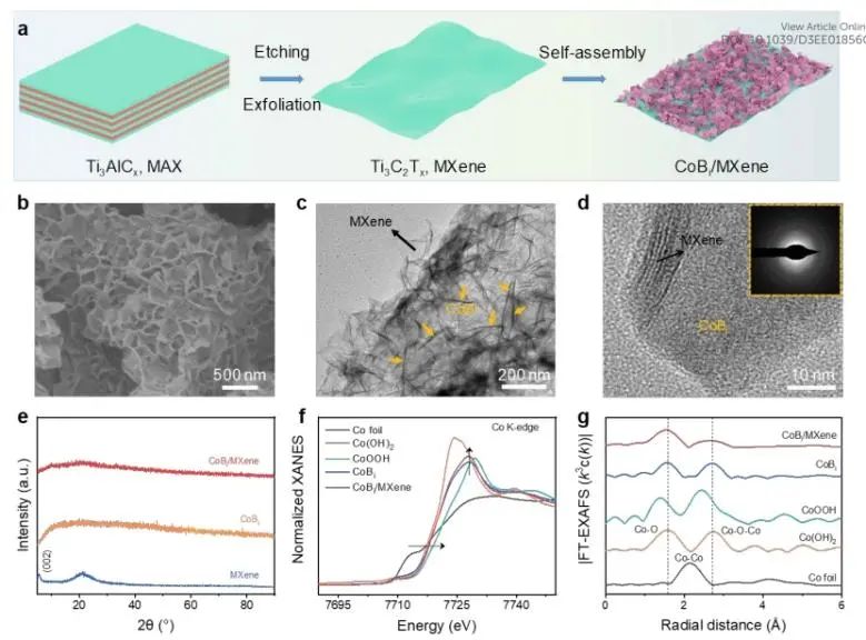 催化頂刊速遞：Nature Catalysis、EES、Nature子刊、Angew、Sci. Adv.、ACS Nano等成果