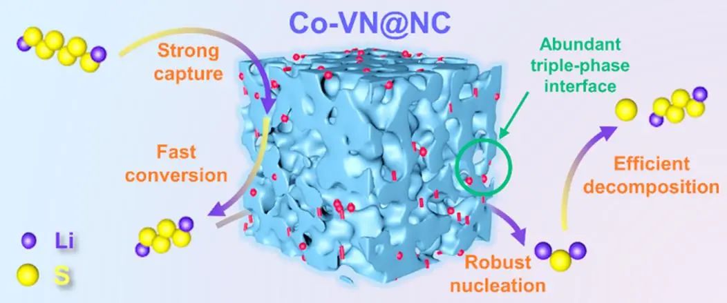 ACS Nano：通過幾何/電子調解器調制引導Li-S電池的雙向硫氧化還原作用
