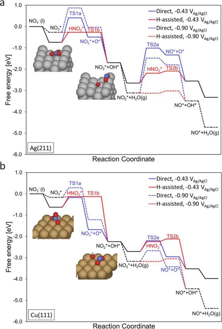 ACS Catalysis：對(duì)亞硝酸鹽和氨的選擇性可調(diào)的氧化物衍生銀用于電催化硝酸鹽還原