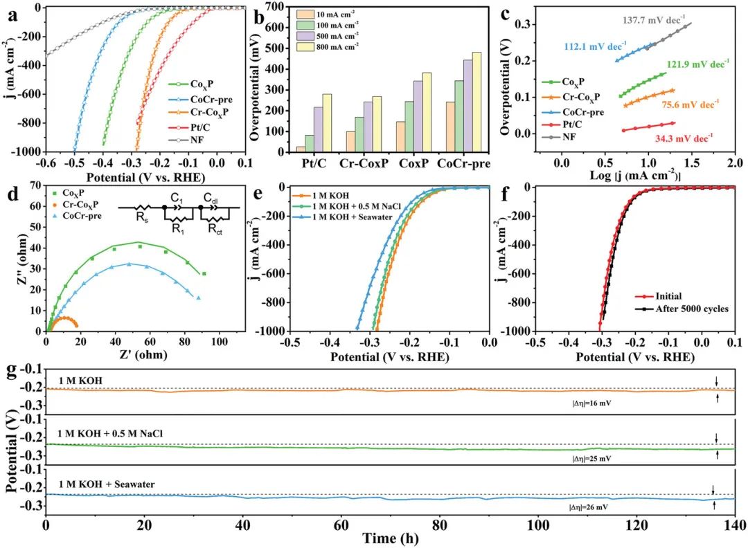 催化頂刊合集：JACS、Angew.、AFM、Small、Appl. Catal. B、JEC等成果