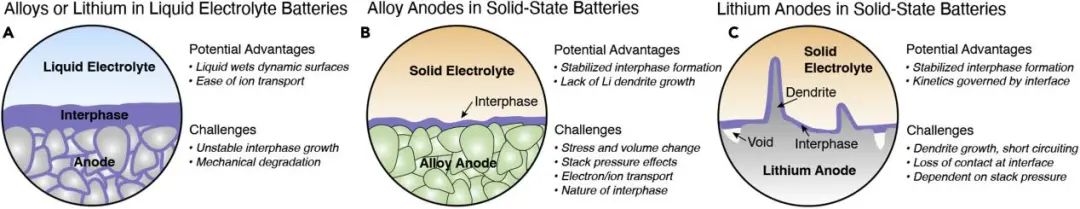 最新Joule綜述: 固態電池合金負極！