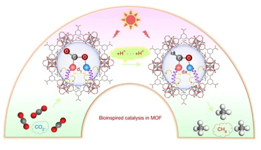 Nature Catalysis：首次報道！MOF基自適應DMSPs光催化CO2為CH4