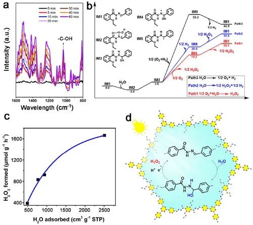 福大ACS Catalysis：光激發共價有機骨架上水合作用引發的水氧化途徑