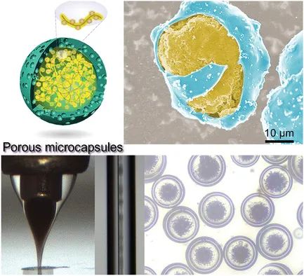 電池頂刊集錦：EES、EER、AEM、EEM、ACS Nano、Small等最新成果