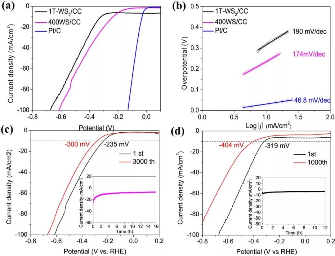 【動態】澳門大學潘暉教授團隊：缺陷工程增強WS2納米片電催化析氫活性