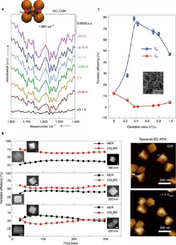 Nature Catalysis綜述：多碳產物向CO2RR-催化劑及電解質設計策略