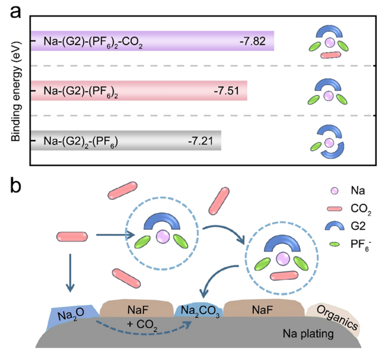 強！一周內連發(fā)Nature子刊和JACS，這個團隊成果斐然！