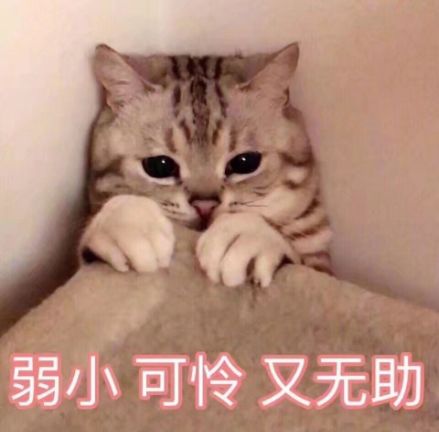 【來聊】一千零一種論文翻車現場！打敗我的居然是“天災”！
