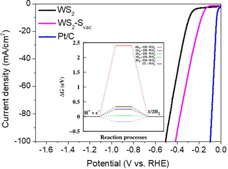 【動態】澳門大學潘暉教授團隊：缺陷工程增強WS2納米片電催化析氫活性
