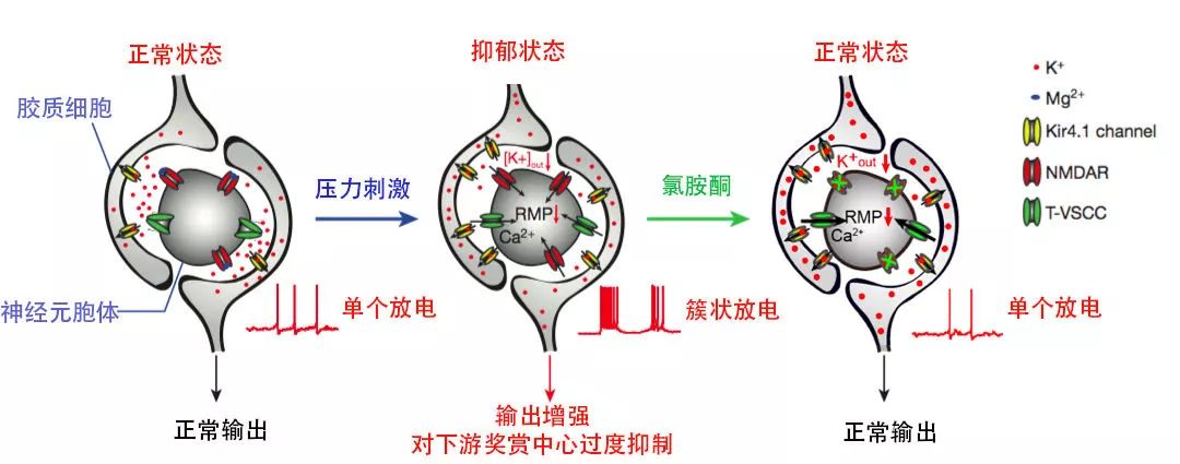 三次被提名院士，學生人手一篇CNS，女神胡海嵐再獲聯合國“世界杰出女科學家獎”！