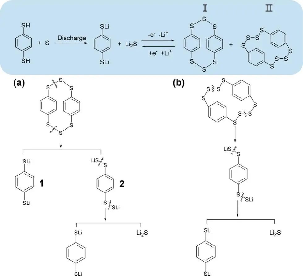 鄭大付永柱/郭瑋JACS: 用于改善可充電鋰硫電池界面化學的異構有機二硫醇添加劑