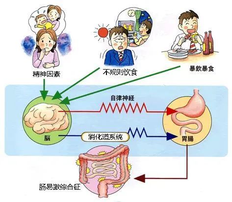 連發(fā)2篇Science吐槽科研壓力大，喝瓶紅牛繼續(xù)肝，身體崩潰送急診！?答應(yīng)我，愛(ài)自己！
