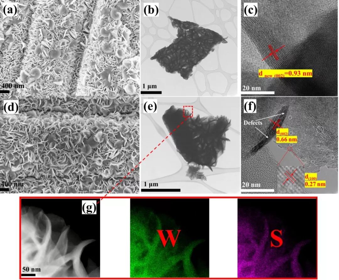 【動態】澳門大學潘暉教授團隊：缺陷工程增強WS2納米片電催化析氫活性