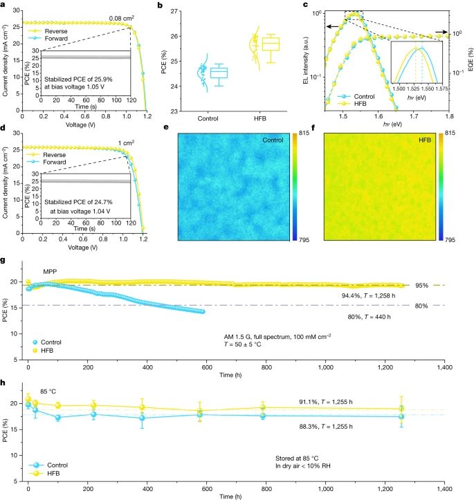 北京大學周歡萍，最新Nature！