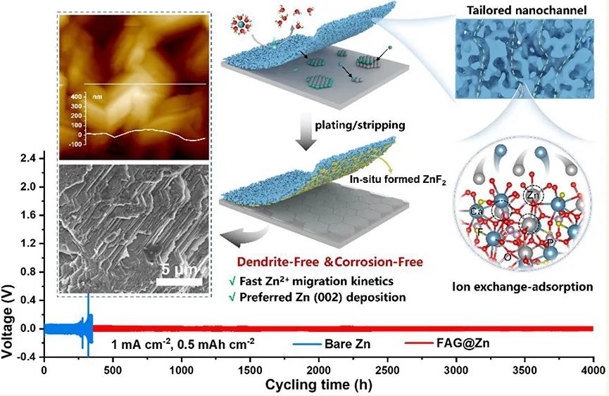 劉天西/陳蘇莉等ACS Nano：通過增強離子傳輸動力學和調節Zn(002)沉積實現高度可逆的Zn負極