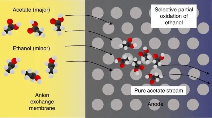 Nature Catalysis！一氧化碳電還原耦合陽極氧化提高乙酸的選擇性