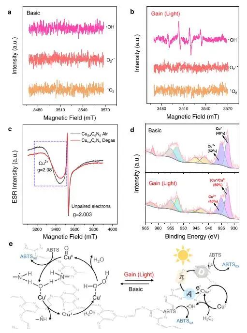 【計算+實驗】8篇頂刊速遞：Nature子刊、JACS、AEM、AFM、ACS Catalysis等！
