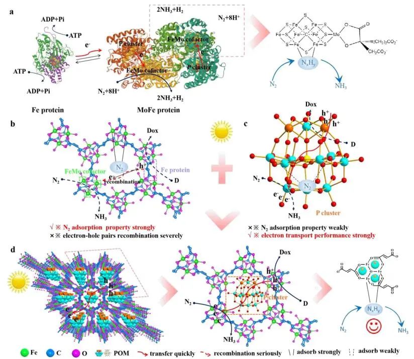 【計算+實驗】8篇頂刊速遞：Nature子刊、JACS、AEM、AFM、ACS Catalysis等！