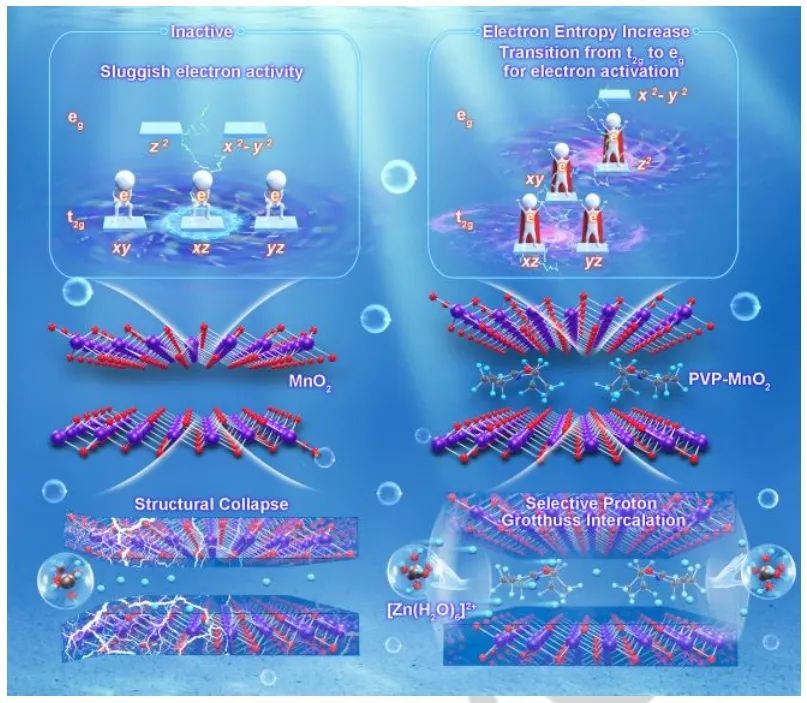 ?北理吳川Angew：聚合物插層δ-MnO2實(shí)現(xiàn)高性能Zn-MnO2電池
