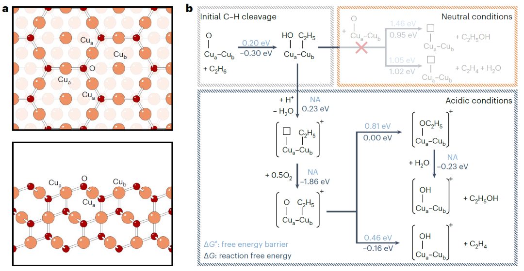 文章未動(dòng)，專利先行！清北聯(lián)手Nature Catalysis，破解Dream Reaction！