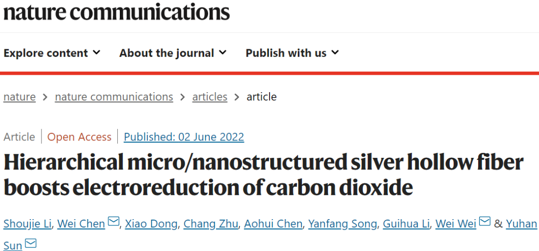 孫予罕/魏偉Nat. Commun.：分級微/納米結(jié)構(gòu)Ag中空纖維促進CO2電還原