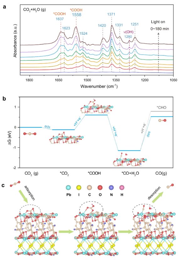 【計算+實驗】頂刊案例解讀：JACS、EES、Angew、Nature子刊、ACS Catalysis、ACS Nano等成果！