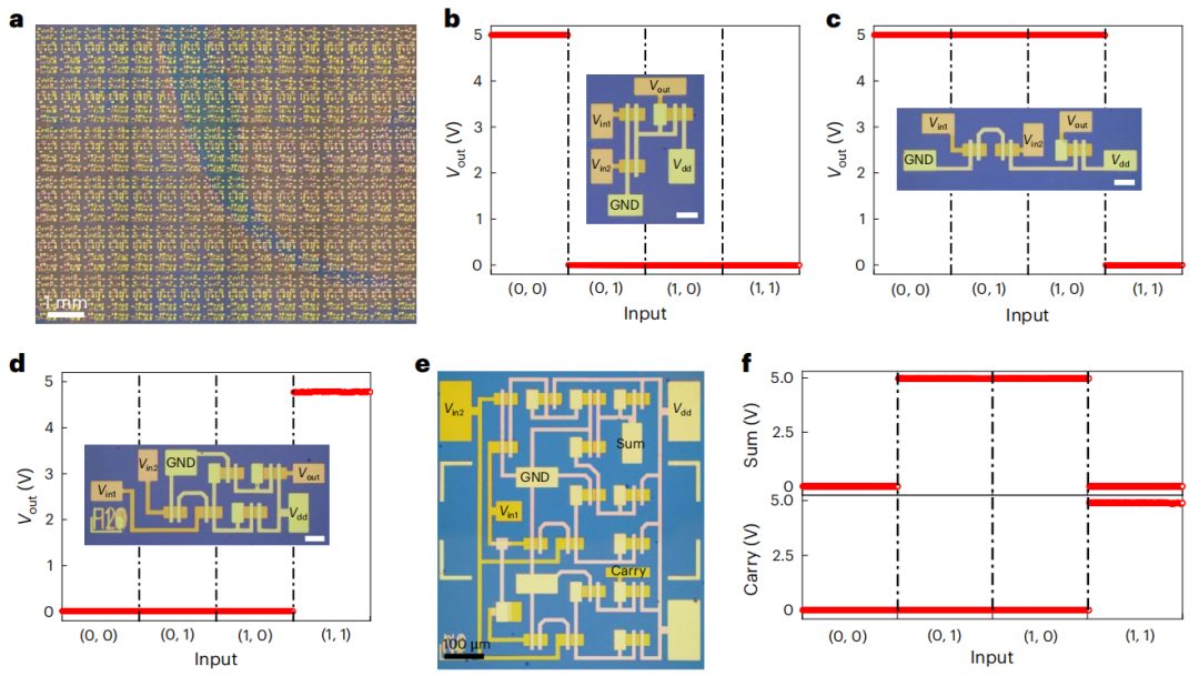 強強聯合！湖大段曦東教授&劉淵教授，今日Nature Nanotechnology！