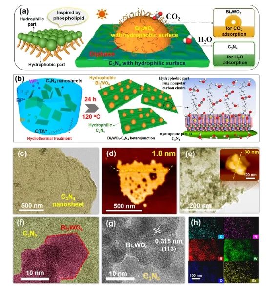 華南理工大學ACS Catalysis： 構建疏水-親水雙相異質結，有效促進光催化CO2還原