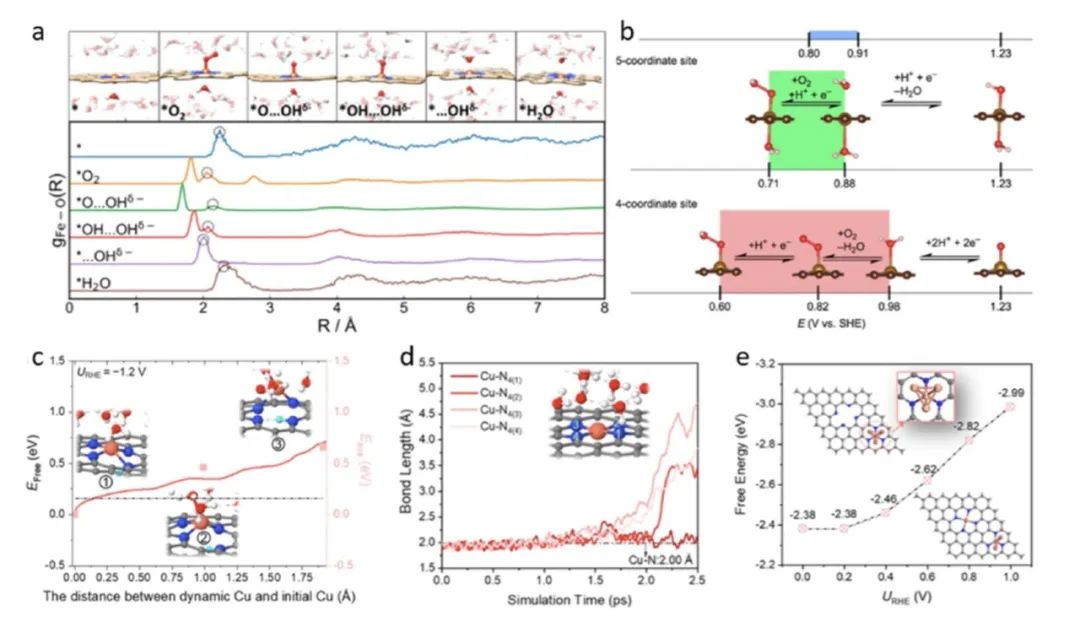 南方科技大學王陽剛課題組Acc. Chem. Res.綜述：單原子電催化劑界面的動態機制